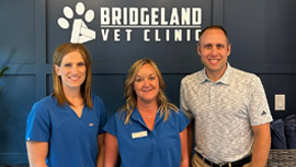 Témoignage de la clinique vétérinaire Bridgeland